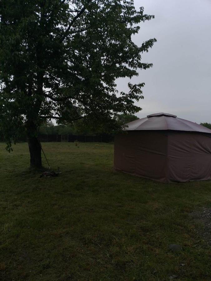 Popasul Dacilor Villa Predelut Eksteriør billede